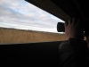 bird-watching-wexford